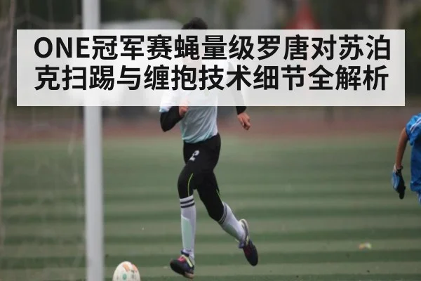 ONE冠军赛蝇量级罗唐对苏泊克扫踢与缠抱技术细节全解析